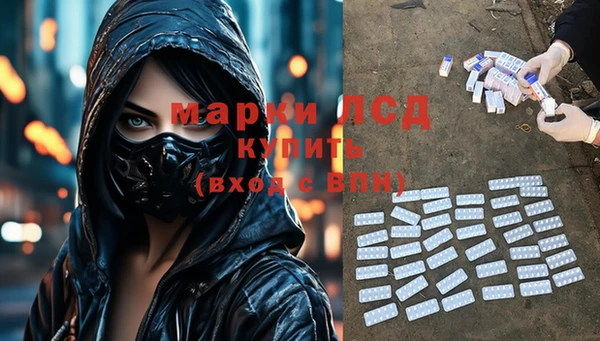 стафф Михайловск