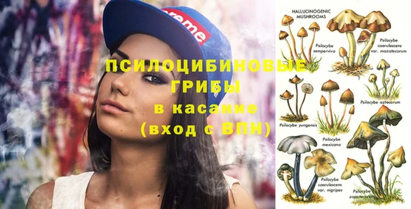 эйфоретик Михайловка