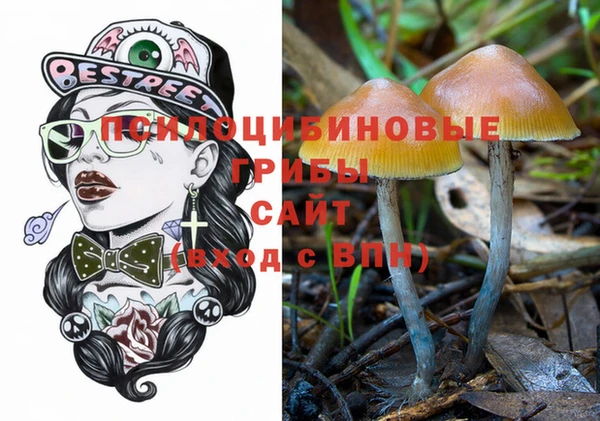 прущие грибы Майский